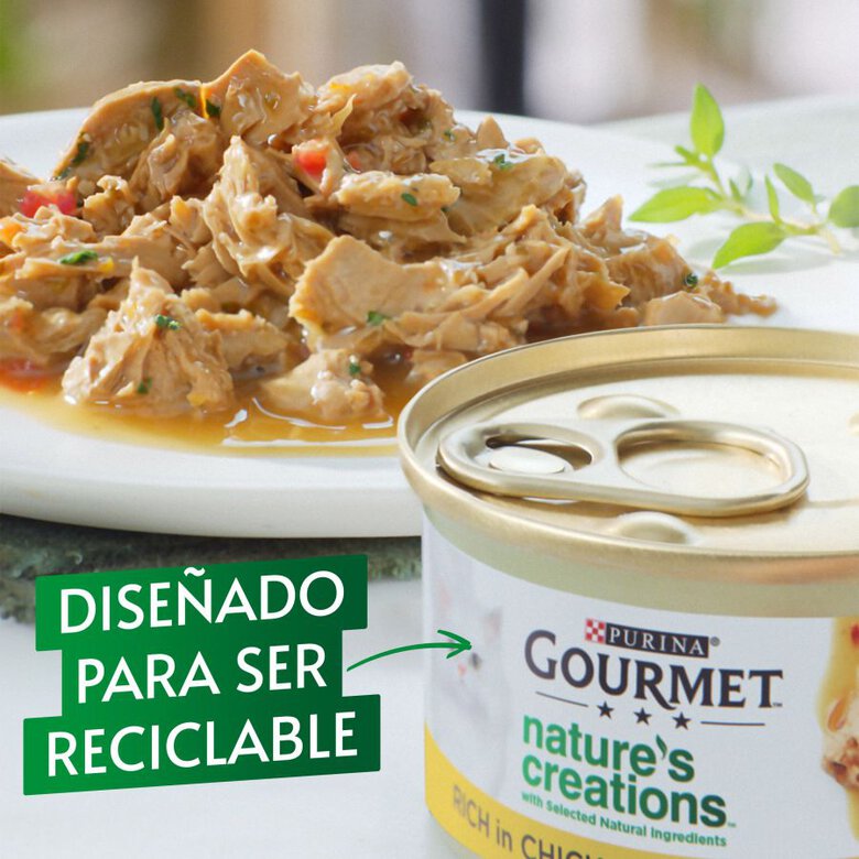 Purina Gourmet Nature's Creations Mini Filetes de Carne, , large image number null